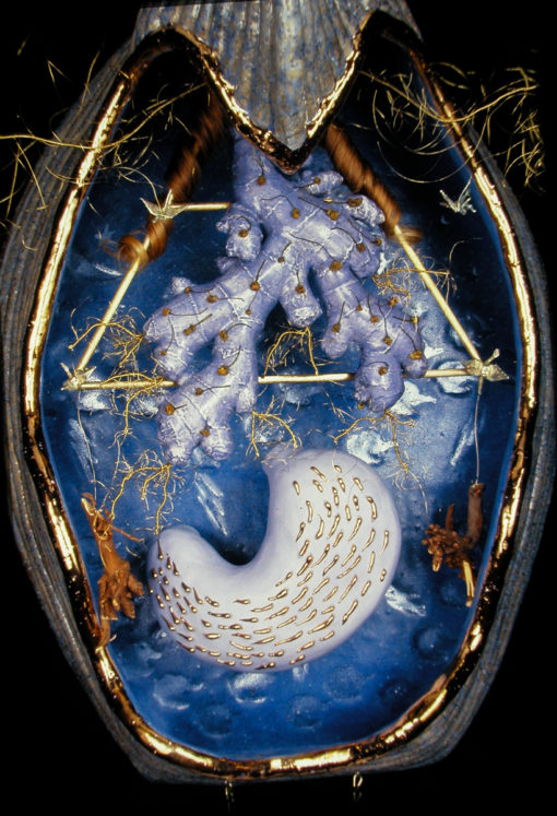 Stomach: strengthen faith / trust - Image 2