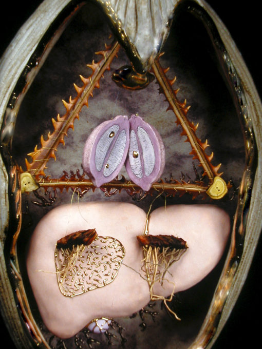 Liver: PURify perspective / intention - Image 2