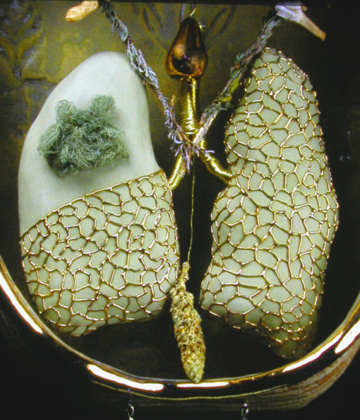 Lungs: Inspire Generosity / JOY - Image 3