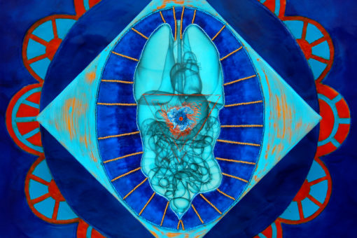Space Nature - Image 3