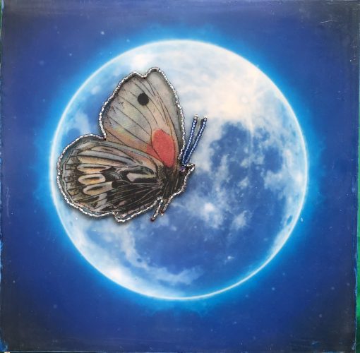 Night Realm - Image 4